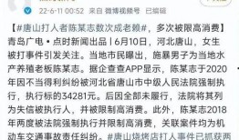 最新唐山爆料案件,真相与争议交织的街头暴力事件
