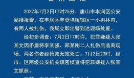 最新唐山爆料案件,真相与争议交织的街头暴力事件
