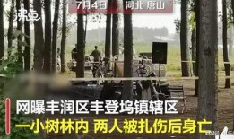最新唐山爆料案件,真相与争议交织的街头暴力事件